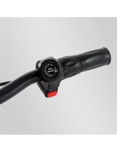 Draisienne électrique Apollo