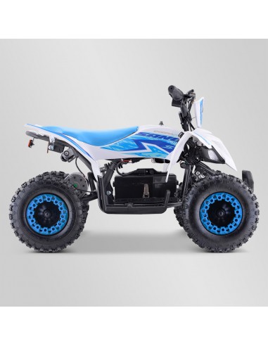 Quad Enfant Electrique 800 watts...