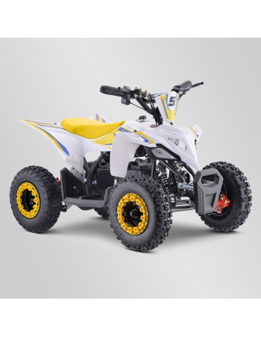 Quad Enfant Electrique 800 watts...