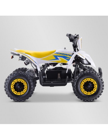 Quad Enfant Electrique 800 watts...