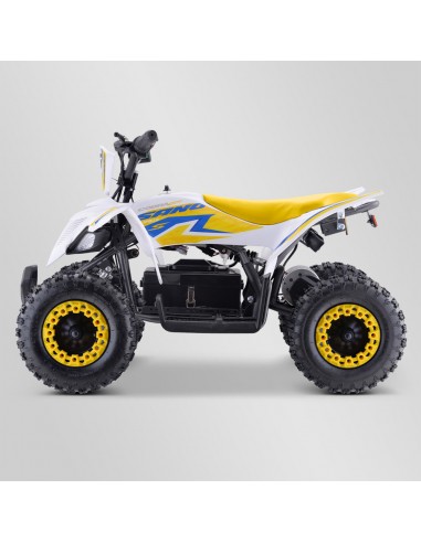 Quad Enfant Electrique 800 watts...