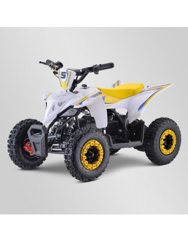 Quad Enfant Electrique 800 watts...