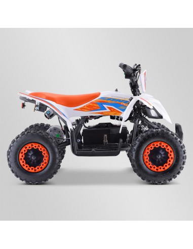 Quad Enfant Electrique 800 watts...