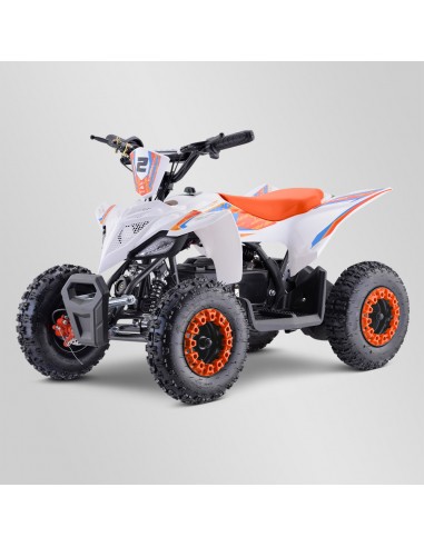 Quad Enfant Electrique 800 watts...