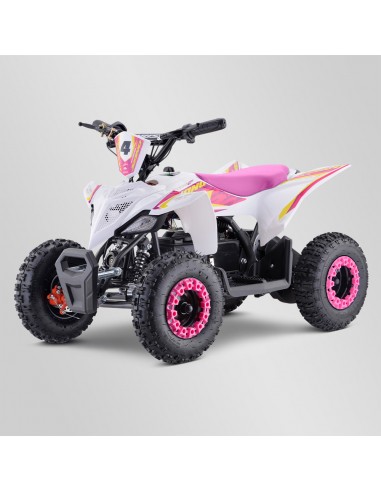 Quad Enfant Electrique 800 watts...