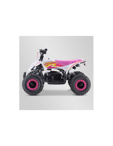 Quad Enfant Electrique 800 watts...