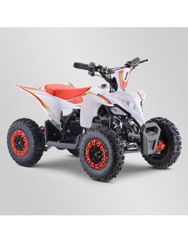 Quad Enfant Electrique 800 watts...