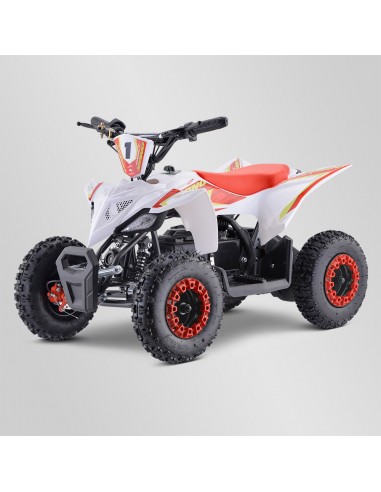 Quad Enfant Electrique 800 watts...