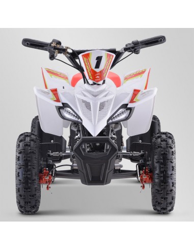 Quad Enfant Electrique 800 watts...