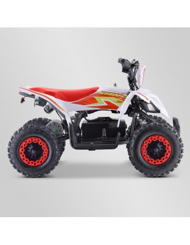 Quad Enfant Electrique 800 watts...