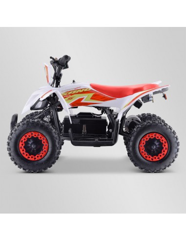 Quad Enfant Electrique 800 watts...