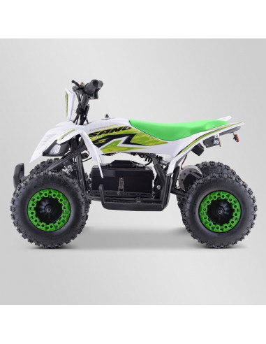 Quad Enfant Electrique 800 watts...