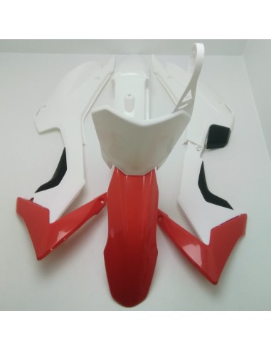 Carénage RS Factory Racer 140 type...