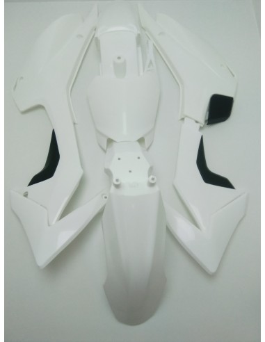 Carénage RS Factory Tiger150 type CRF...