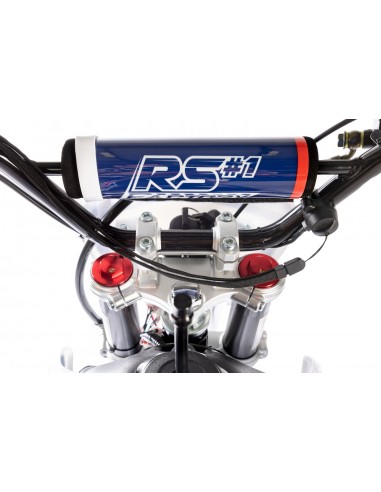 Dirt Bike RS Factory 110 CRF23...