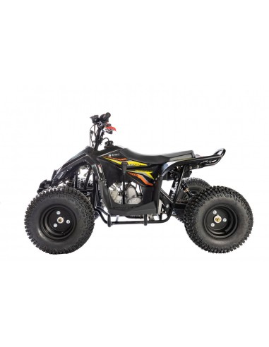 Quad RS Factory RXR 110