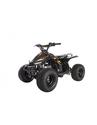 Quad RS Factory RXR 110