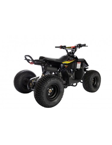Quad RS Factory RXR 110
