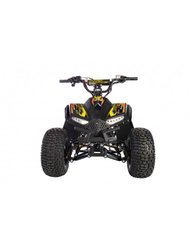 Quad RS Factory RXR 110