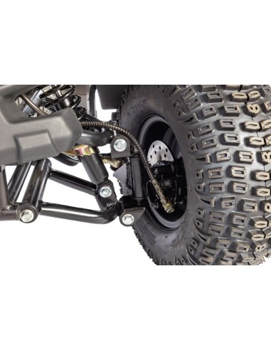 Quad RS Factory RXR 110