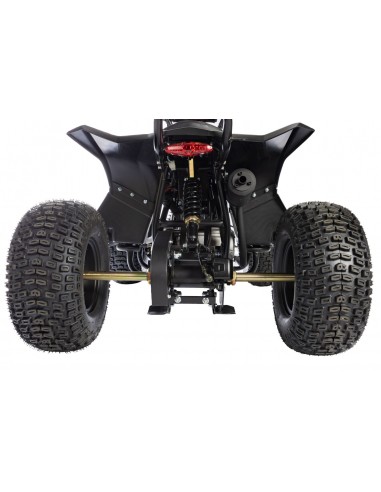 Quad RS Factory RXR 110