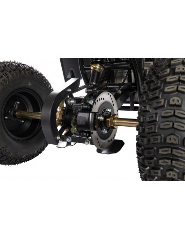 Quad RS Factory RXR 110