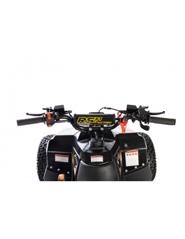 Quad RS Factory RXR 110