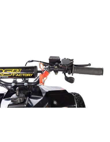 Quad RS Factory RXR 110