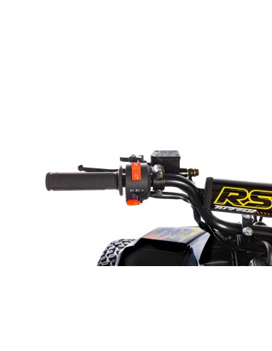 Quad RS Factory RXR 110