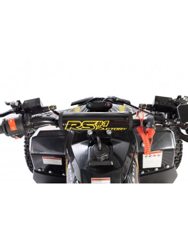 Quad RS Factory RXR 110