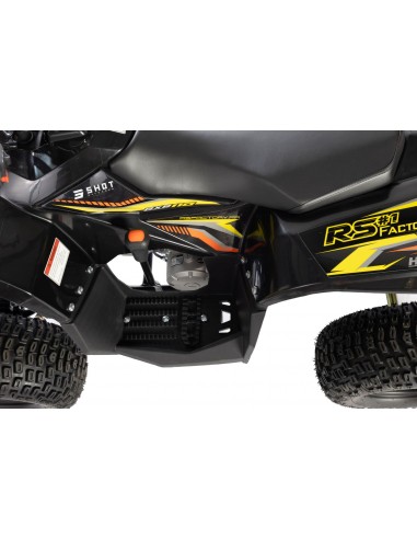 Quad RS Factory RXR 110