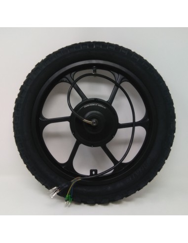 Roue arrière complète Buz E-500 RS...