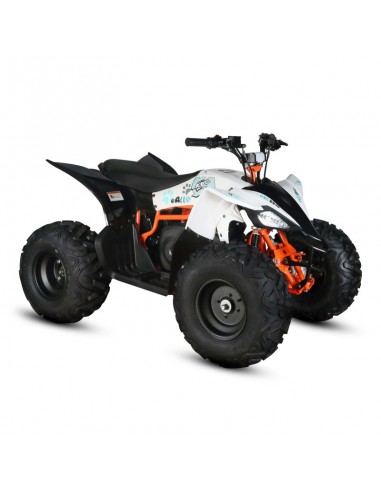 Quad Kayo EA110 2100W