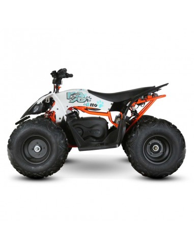Quad Kayo EA110 2100W