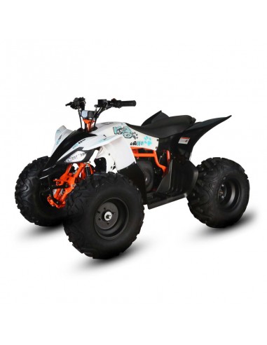 Quad Kayo EA110 2100W