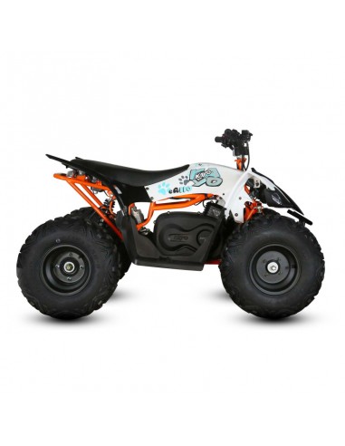 Quad Kayo EA110 2100W