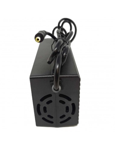 Chargeur de batterie 48v Buz E-500
