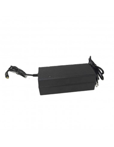 Chargeur de batterie 48v Buz E-500