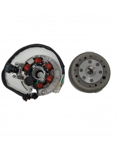 Rotor Stator YX 140 dirt bike