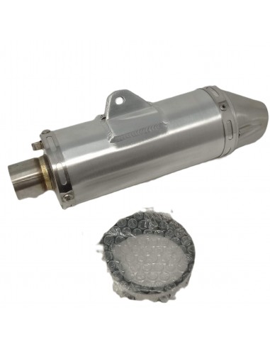 Silencieux alu inox RS Factory Exprit