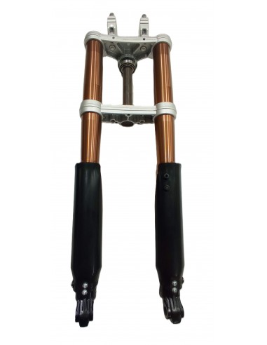 Fourche complete RS Factory P60