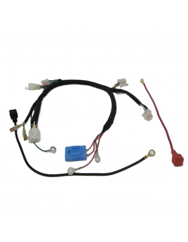 Faisceau électrique RS Factory Kid60