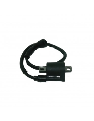 Bobine Allumage Kronos RS Factory