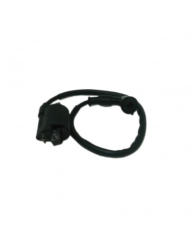 Bobine Allumage Kronos RS Factory