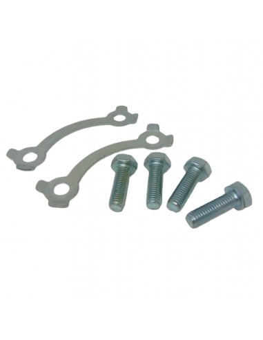 Kit 4 vis de couronne + 2 platines de...