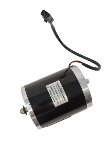Moteur 500W 36V de pocket bike...