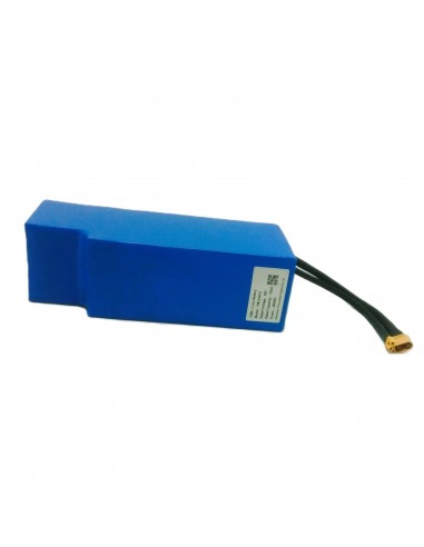 Batterie Lithium 48V 10Ah pour Buz...