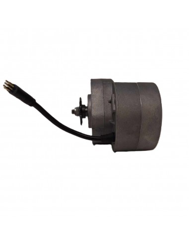 Moteur électrique pour draisienne 12...