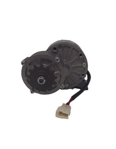 Moteur électrique 24v 250w pour...