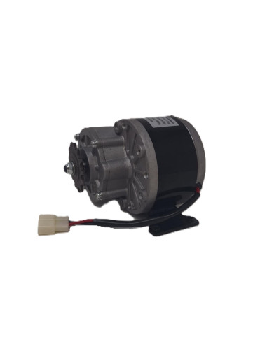 Moteur électrique 24v 250w pour...